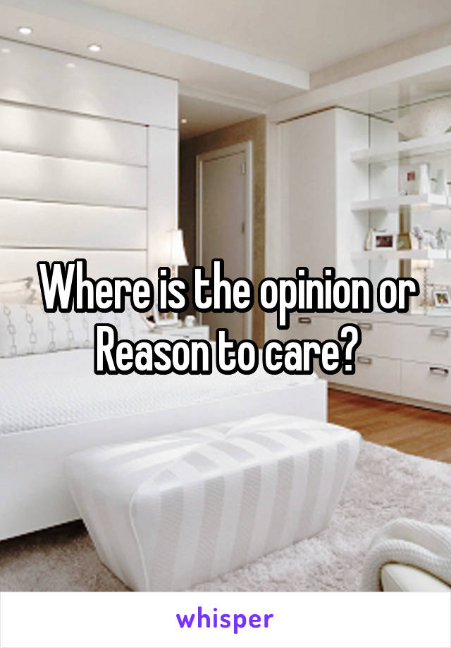 Where is the opinion or Reason to care?