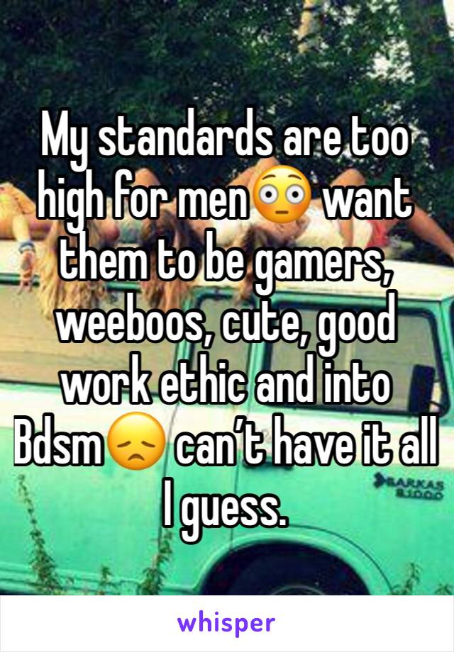 My standards are too high for men😳 want them to be gamers, weeboos, cute, good work ethic and into Bdsm😞 can’t have it all I guess.