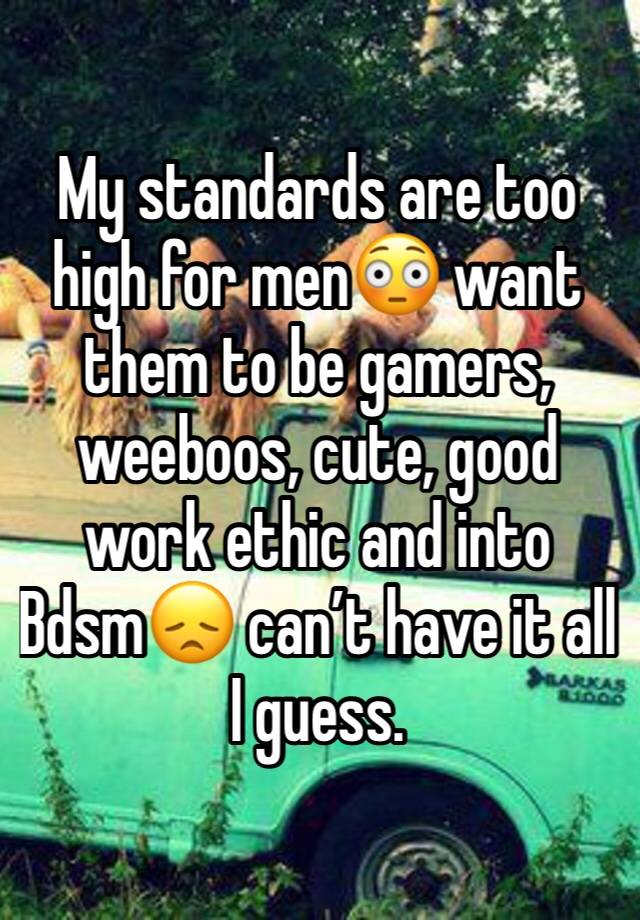 My standards are too high for men😳 want them to be gamers, weeboos, cute, good work ethic and into Bdsm😞 can’t have it all I guess.