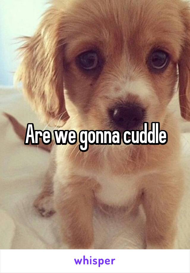 Are we gonna cuddle