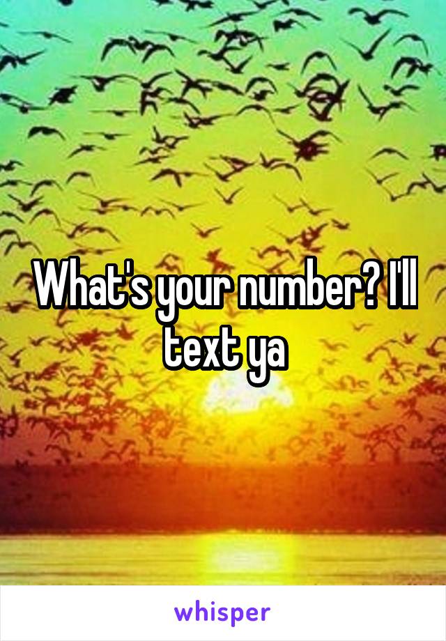 What's your number? I'll text ya