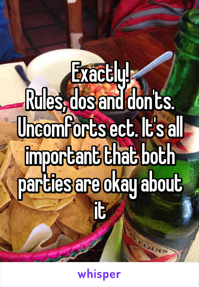 Exactly!
Rules, dos and don'ts. Uncomforts ect. It's all important that both parties are okay about it