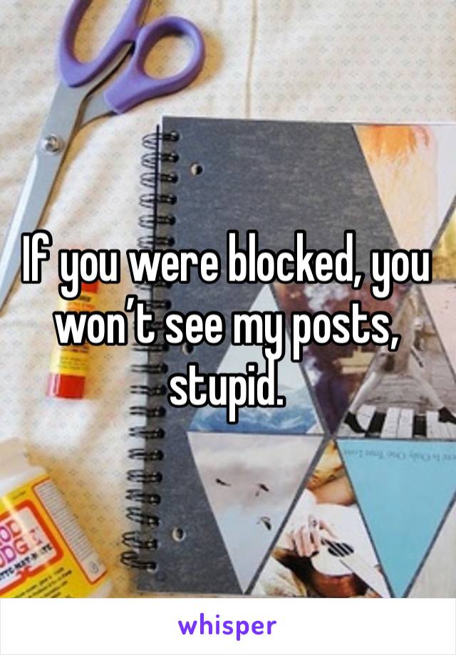 If you were blocked, you won’t see my posts, stupid.