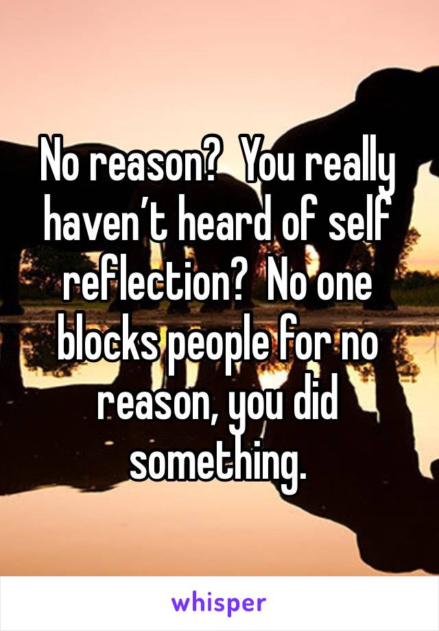 No reason?  You really haven’t heard of self reflection?  No one blocks people for no reason, you did something. 