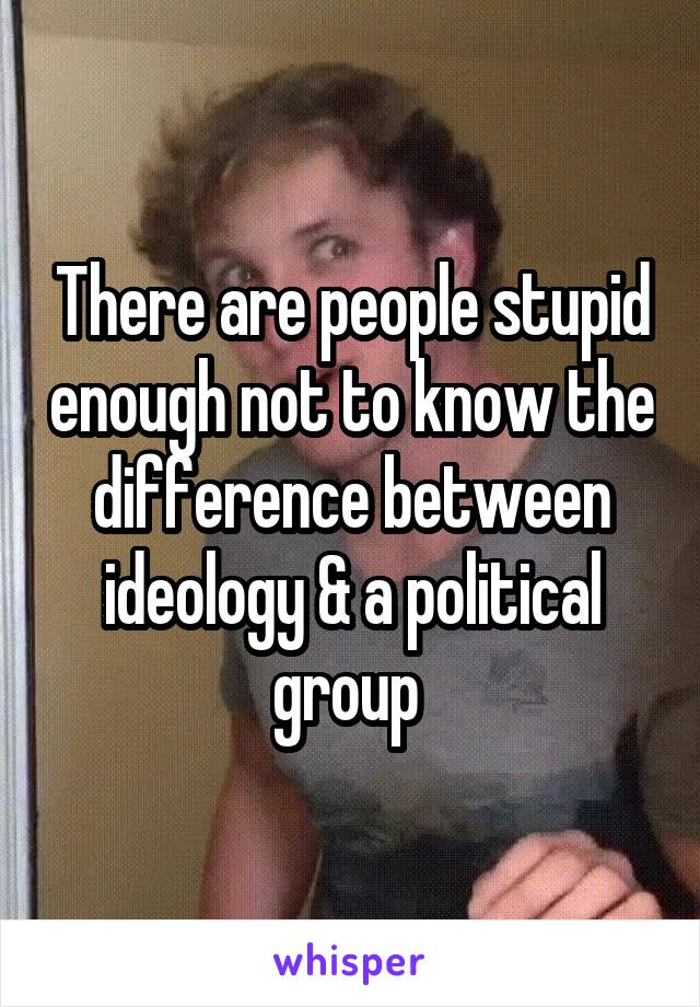 There are people stupid enough not to know the difference between ideology & a political group 