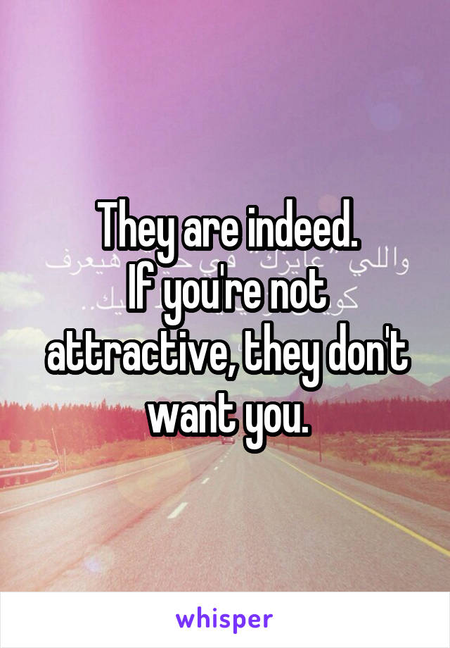 They are indeed.
If you're not attractive, they don't want you.