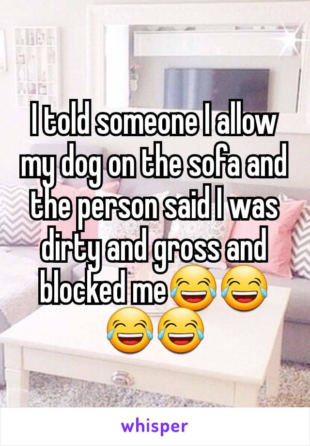 I told someone I allow my dog on the sofa and the person said I was dirty and gross and blocked me😂😂😂😂