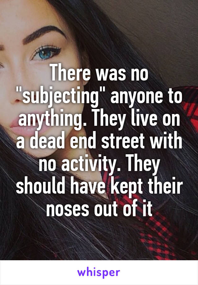 There was no "subjecting" anyone to anything. They live on a dead end street with no activity. They should have kept their noses out of it