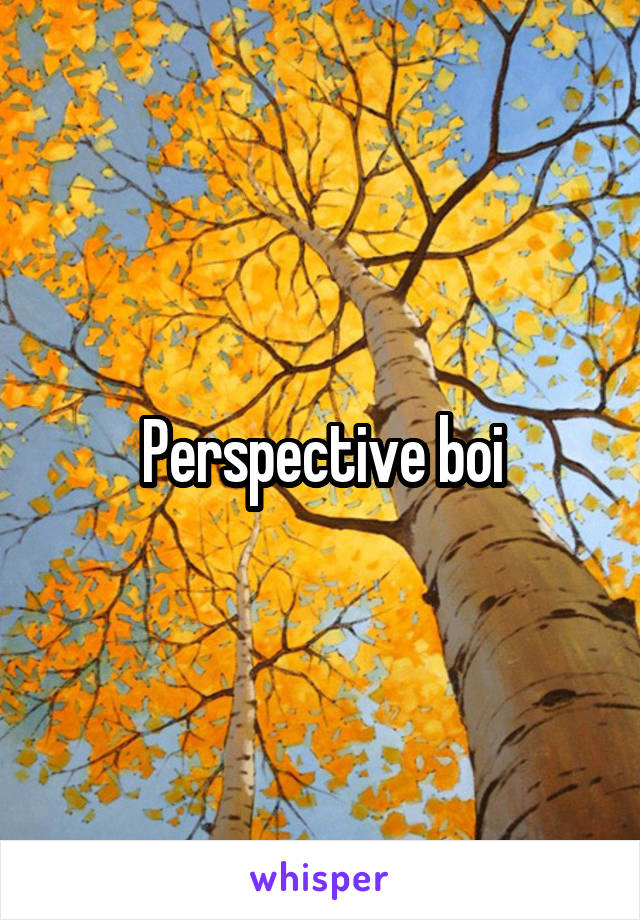 Perspective boi