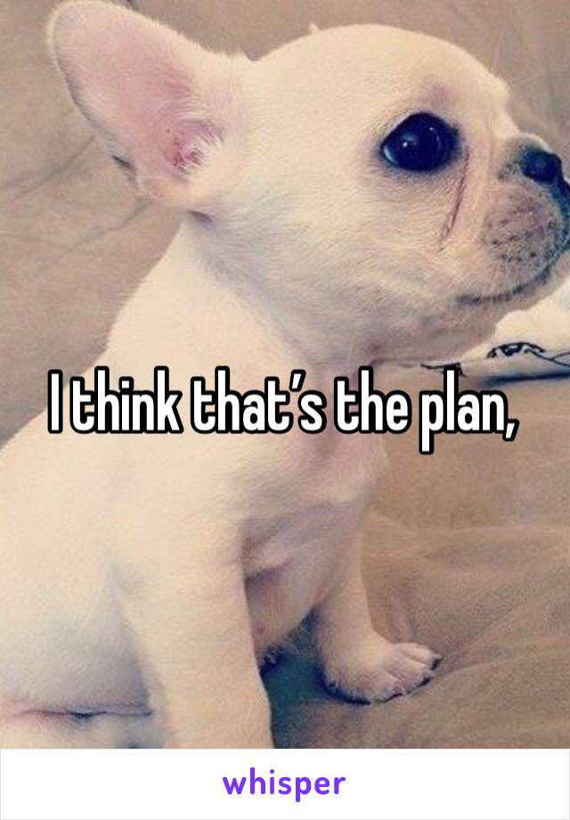 I think that’s the plan, 