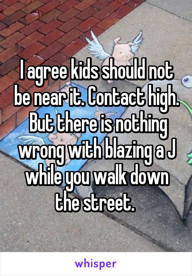 I agree kids should not be near it. Contact high.  But there is nothing wrong with blazing a J while you walk down the street. 