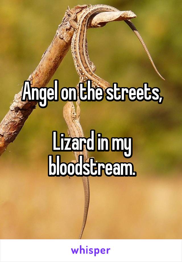 Angel on the streets,

Lizard in my bloodstream.