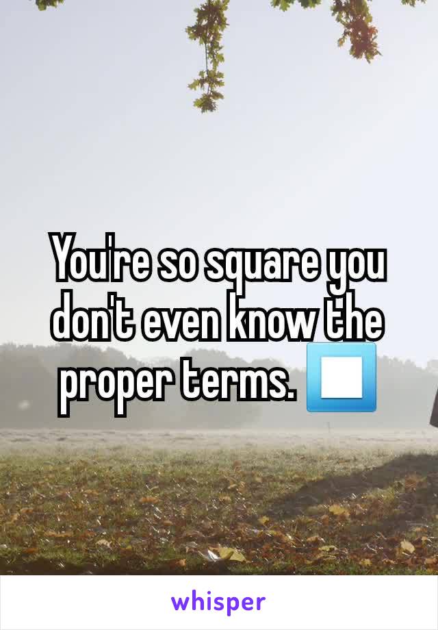 You're so square you don't even know the proper terms. ⏹