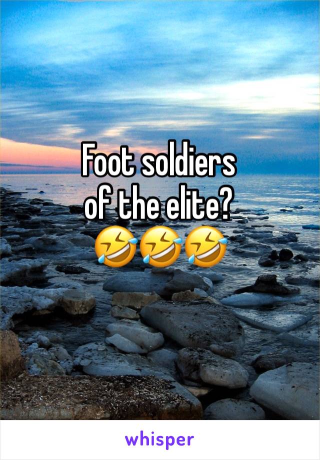 Foot soldiers 
of the elite?
🤣🤣🤣
