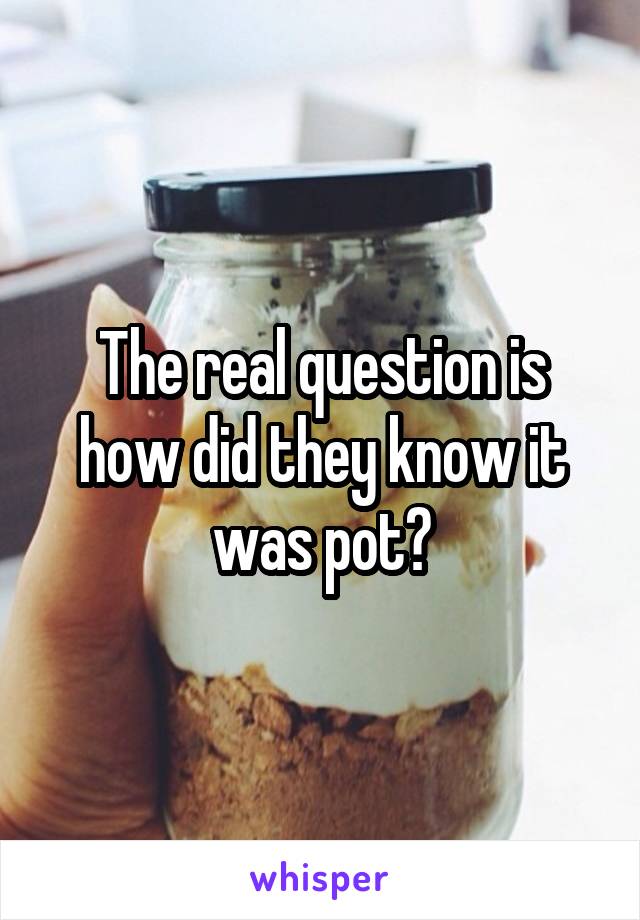 The real question is how did they know it was pot?