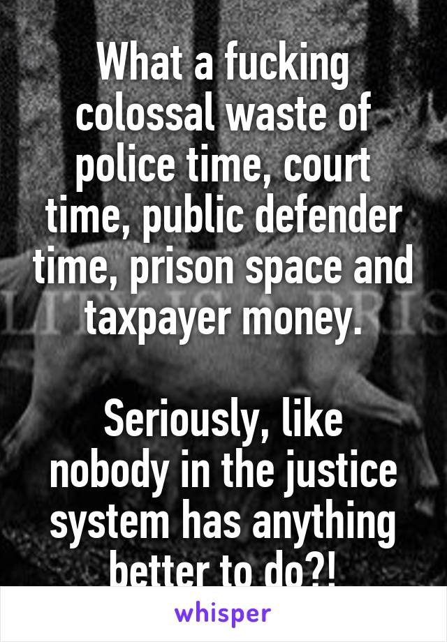 What a fucking colossal waste of police time, court time, public defender time, prison space and taxpayer money.

Seriously, like nobody in the justice system has anything better to do?!