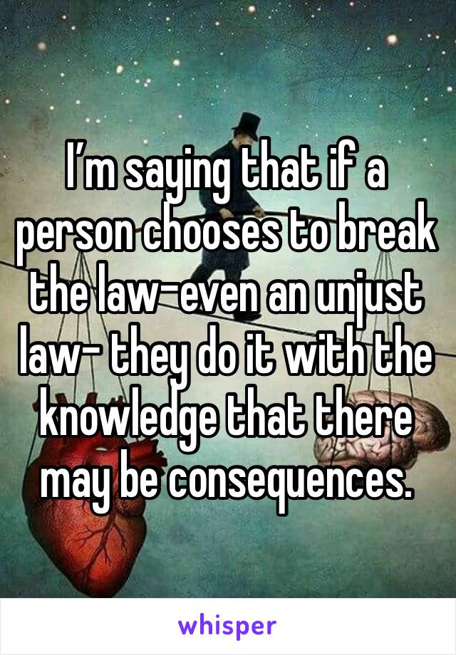 I’m saying that if a person chooses to break the law-even an unjust law- they do it with the knowledge that there may be consequences.