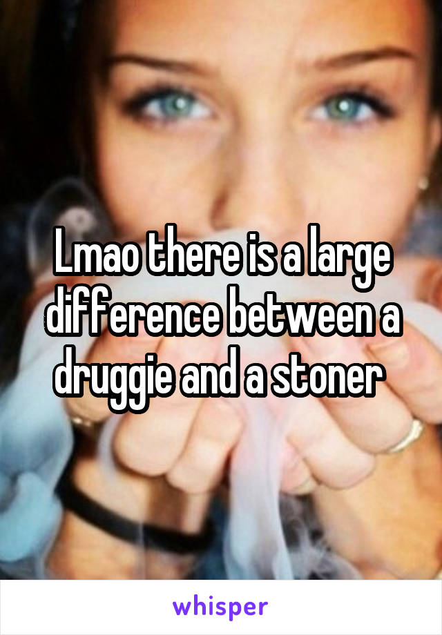 Lmao there is a large difference between a druggie and a stoner 