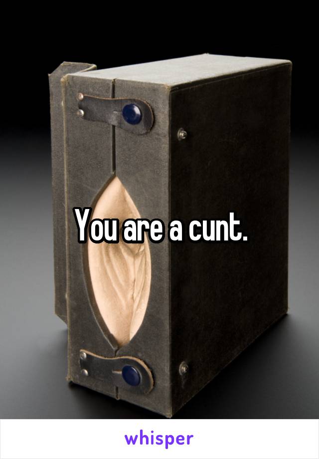 You are a cunt.