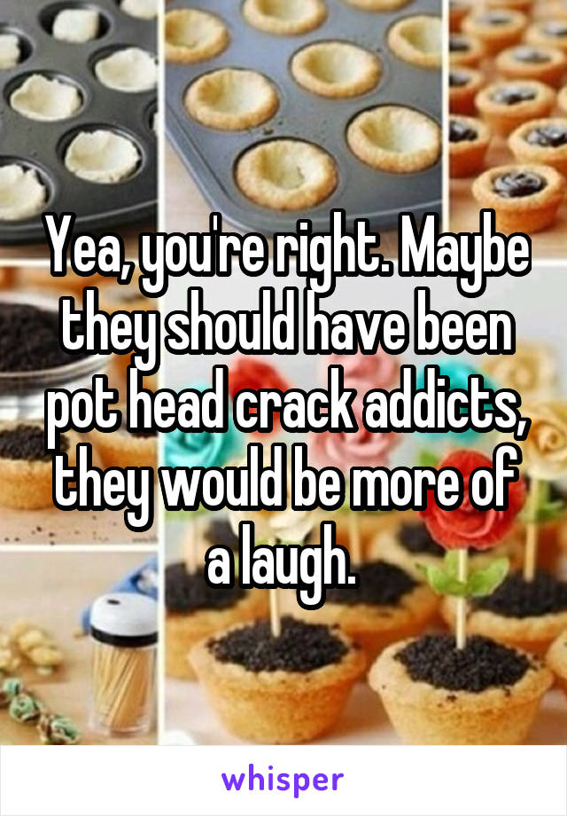 Yea, you're right. Maybe they should have been pot head crack addicts, they would be more of a laugh. 