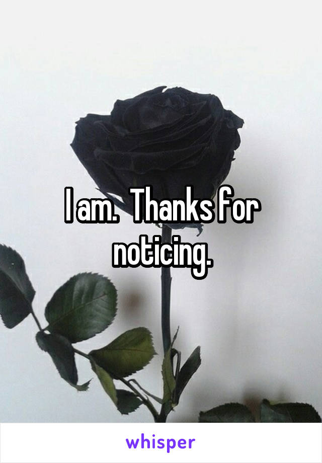 I am.  Thanks for noticing.