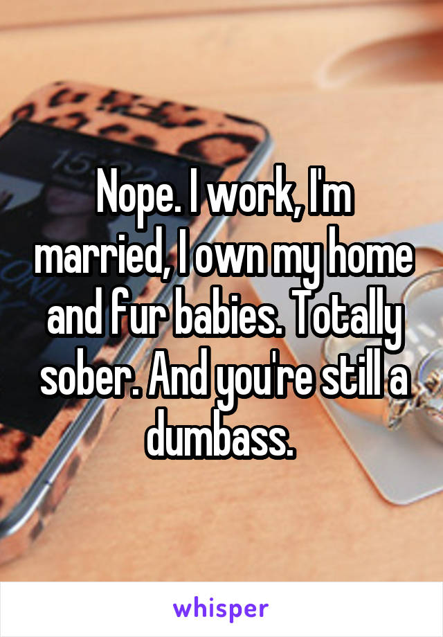 Nope. I work, I'm married, I own my home and fur babies. Totally sober. And you're still a dumbass. 