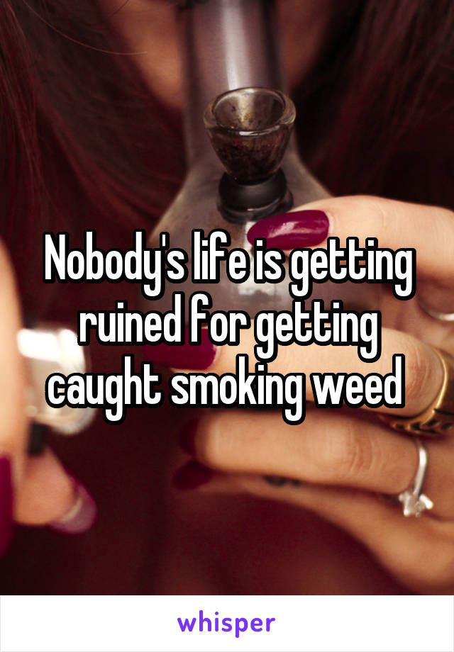 Nobody's life is getting ruined for getting caught smoking weed 