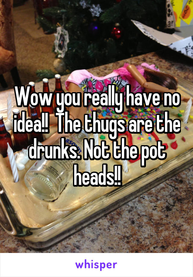 Wow you really have no idea!!  The thugs are the drunks. Not the pot heads!!