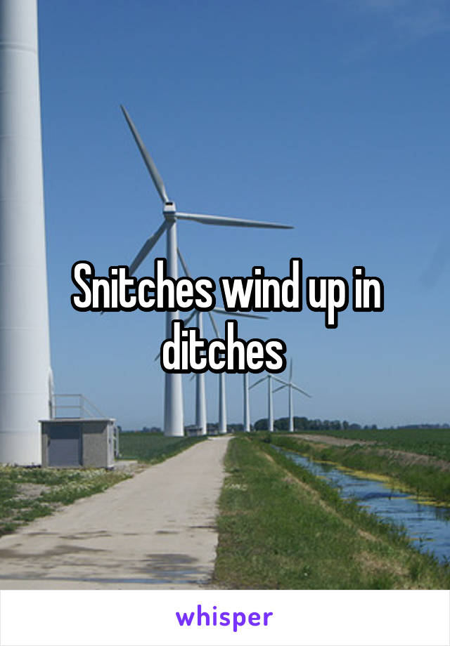 Snitches wind up in ditches 