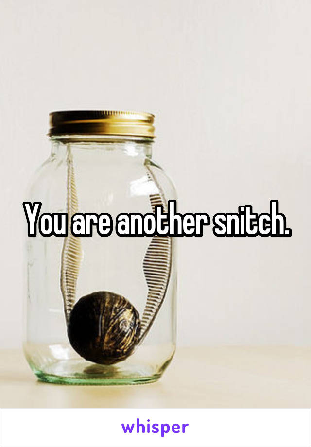 You are another snitch.