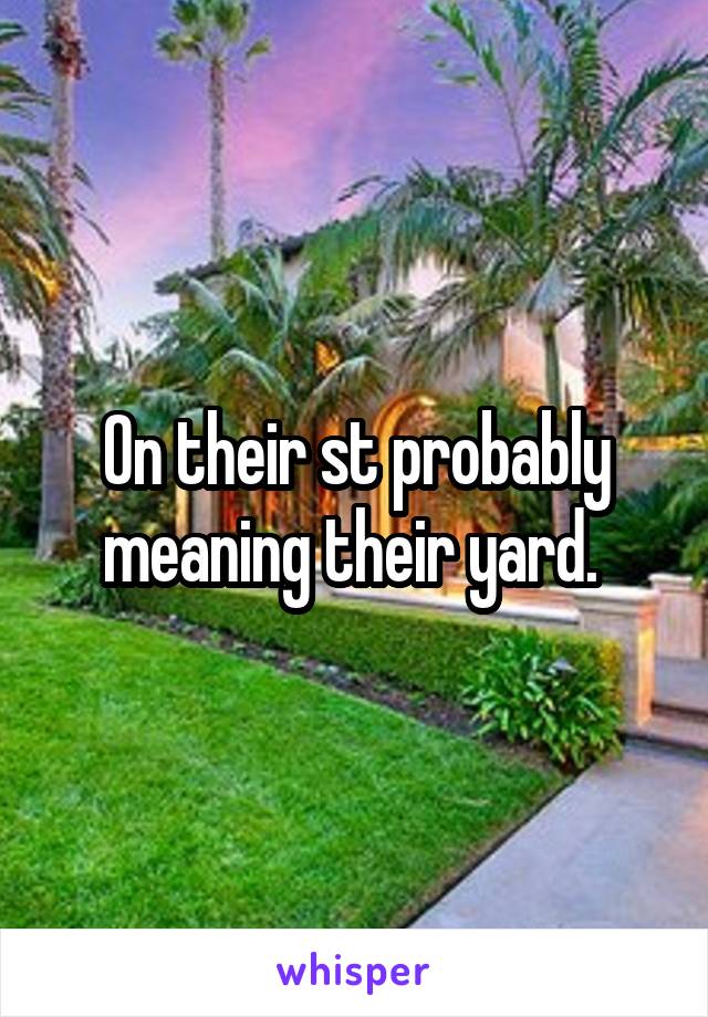 On their st probably meaning their yard. 