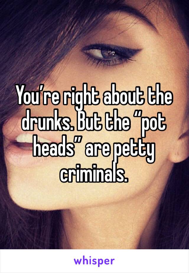 You’re right about the drunks. But the “pot heads” are petty criminals. 