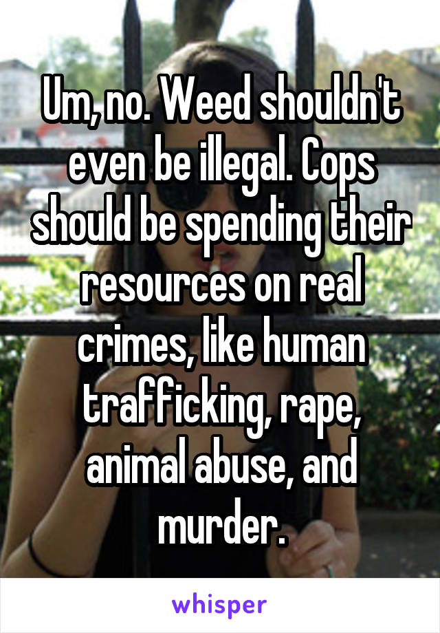 Um, no. Weed shouldn't even be illegal. Cops should be spending their resources on real crimes, like human trafficking, rape, animal abuse, and murder.