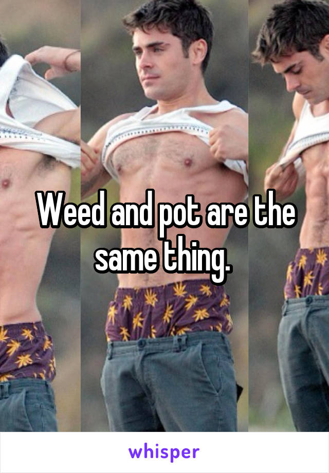 Weed and pot are the same thing. 