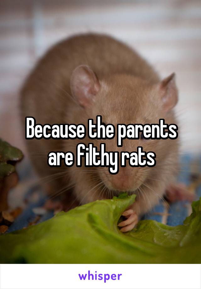 Because the parents are filthy rats