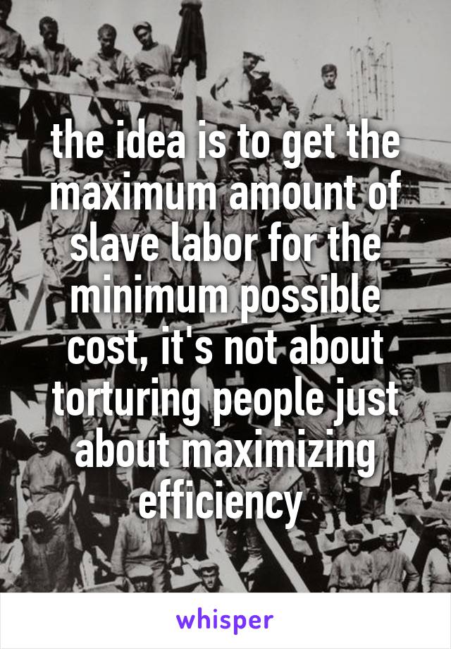 the idea is to get the maximum amount of slave labor for the minimum possible cost, it's not about torturing people just about maximizing efficiency 