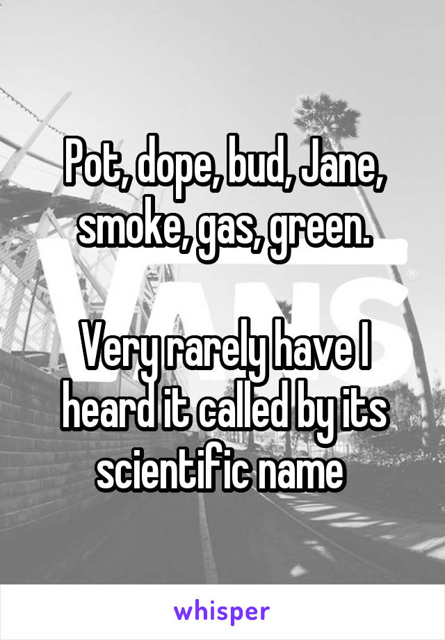 Pot, dope, bud, Jane, smoke, gas, green.

Very rarely have I heard it called by its scientific name 