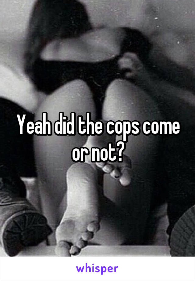 Yeah did the cops come or not?