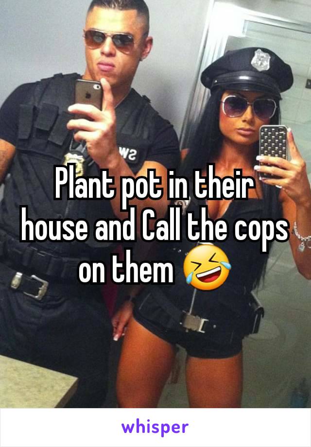 Plant pot in their house and Call the cops on them 🤣