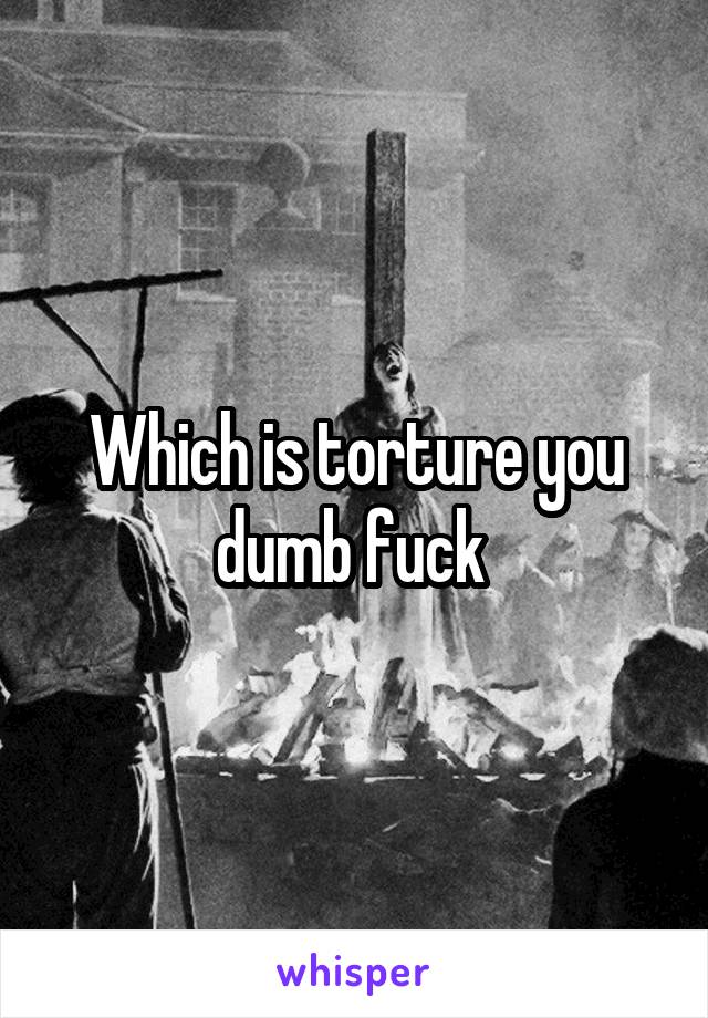 Which is torture you dumb fuck 