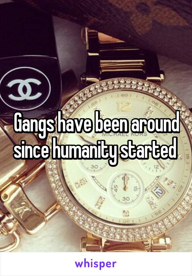 Gangs have been around since humanity started 