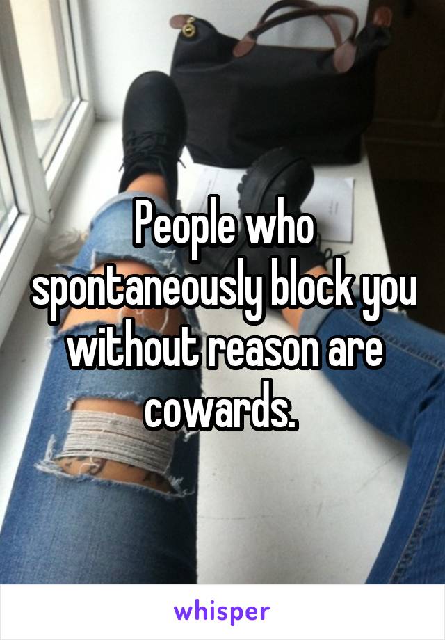 People who spontaneously block you without reason are cowards. 