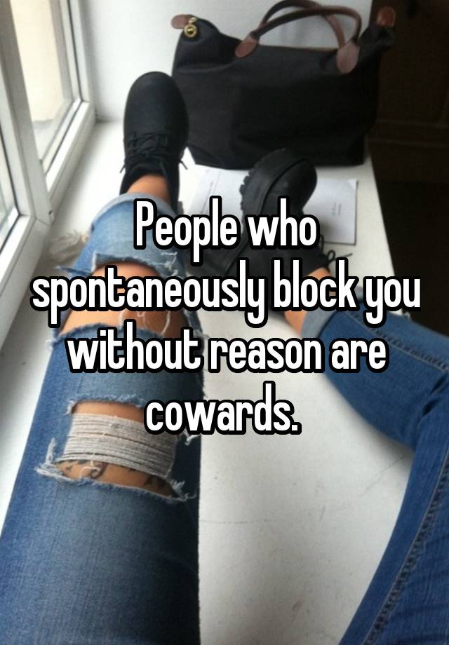 People who spontaneously block you without reason are cowards. 