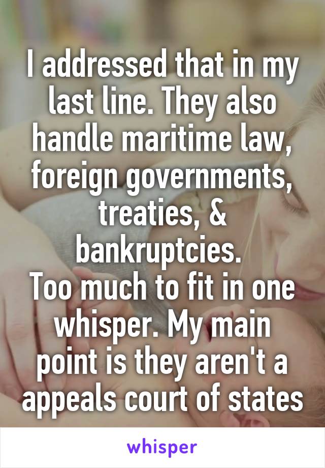 I addressed that in my last line. They also handle maritime law, foreign governments, treaties, & bankruptcies. 
Too much to fit in one whisper. My main point is they aren't a appeals court of states