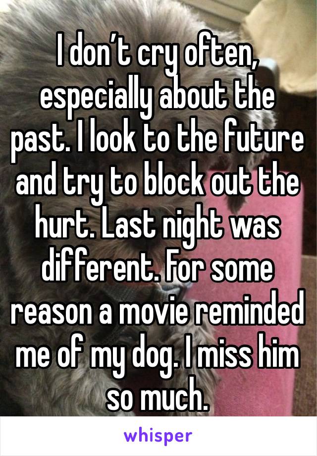 I don’t cry often, especially about the past. I look to the future and try to block out the hurt. Last night was different. For some reason a movie reminded me of my dog. I miss him so much.