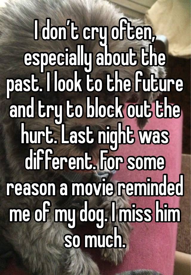 I don’t cry often, especially about the past. I look to the future and try to block out the hurt. Last night was different. For some reason a movie reminded me of my dog. I miss him so much.