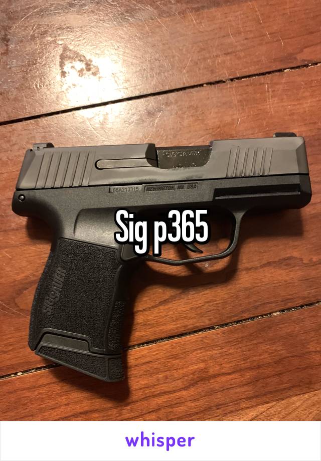 Sig p365