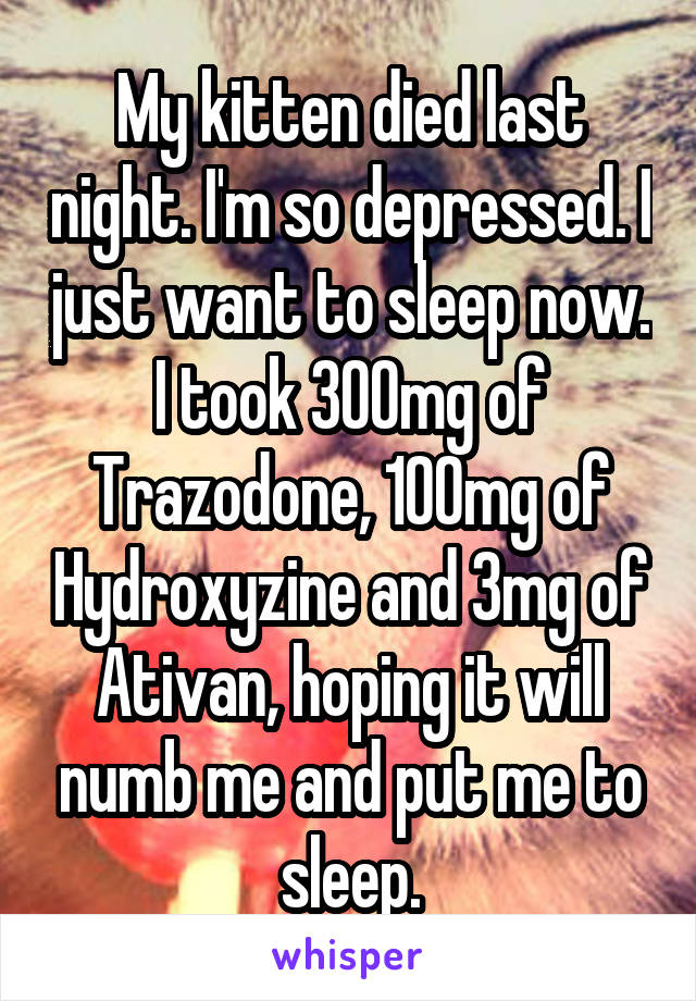 My kitten died last night. I'm so depressed. I just want to sleep now. I took 300mg of Trazodone, 100mg of Hydroxyzine and 3mg of Ativan, hoping it will numb me and put me to sleep.