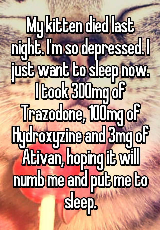 My kitten died last night. I'm so depressed. I just want to sleep now. I took 300mg of Trazodone, 100mg of Hydroxyzine and 3mg of Ativan, hoping it will numb me and put me to sleep.