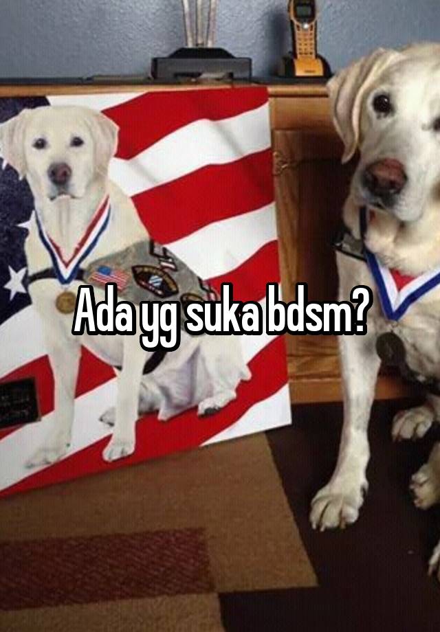 Ada yg suka bdsm?